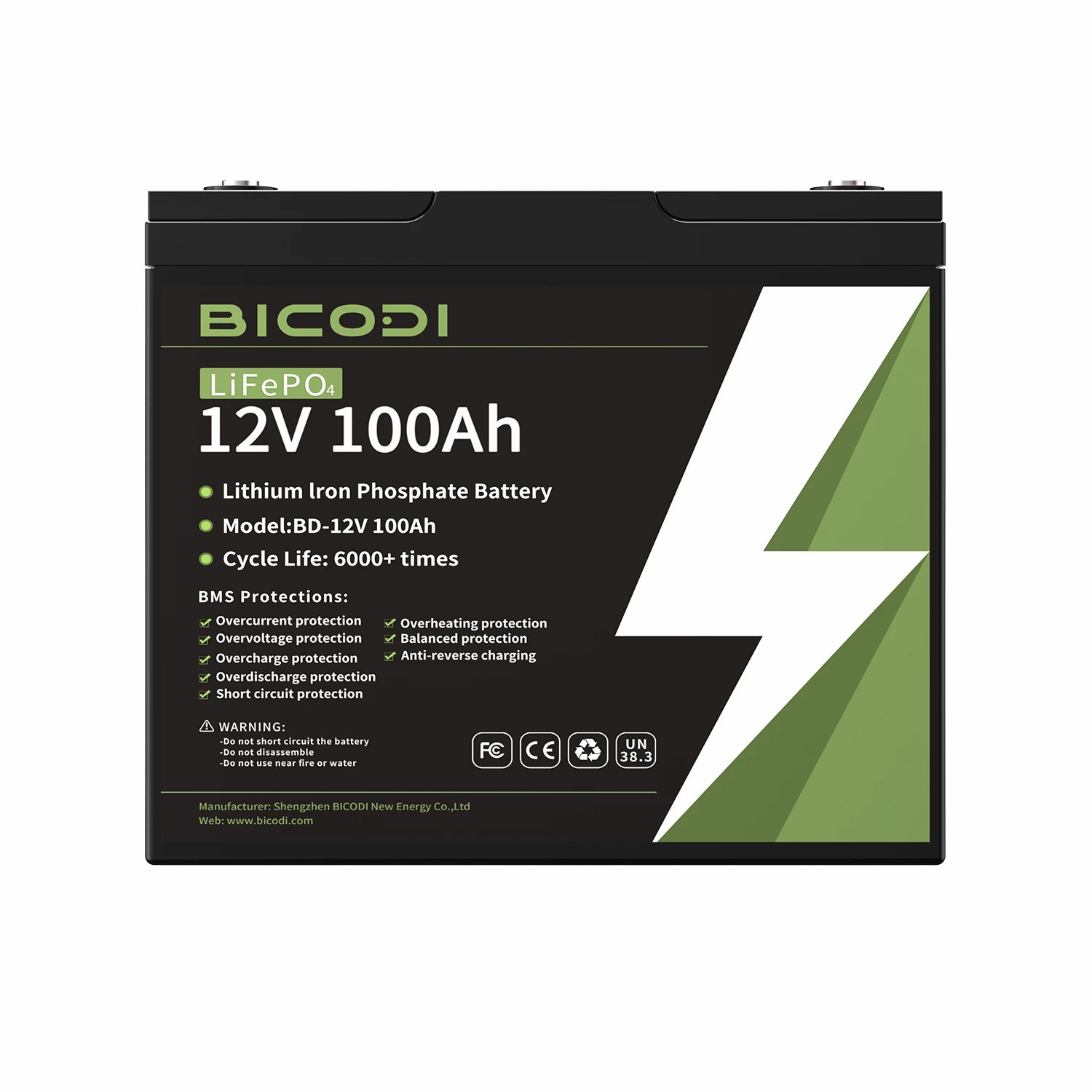 Kaxxa tal-batterija LifePO4 12V 100Ah