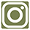 ins